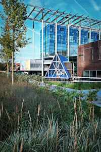 tall grass in front of a building