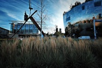 tall grass in front of a building