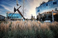 tall grass in front of a building