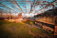 an abandoned greenhouse in the middle of a field