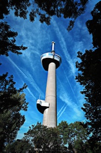 a tall tower in the middle of a forest